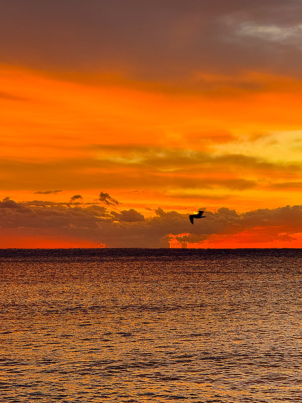Sunset : Nice, 2025 🌅