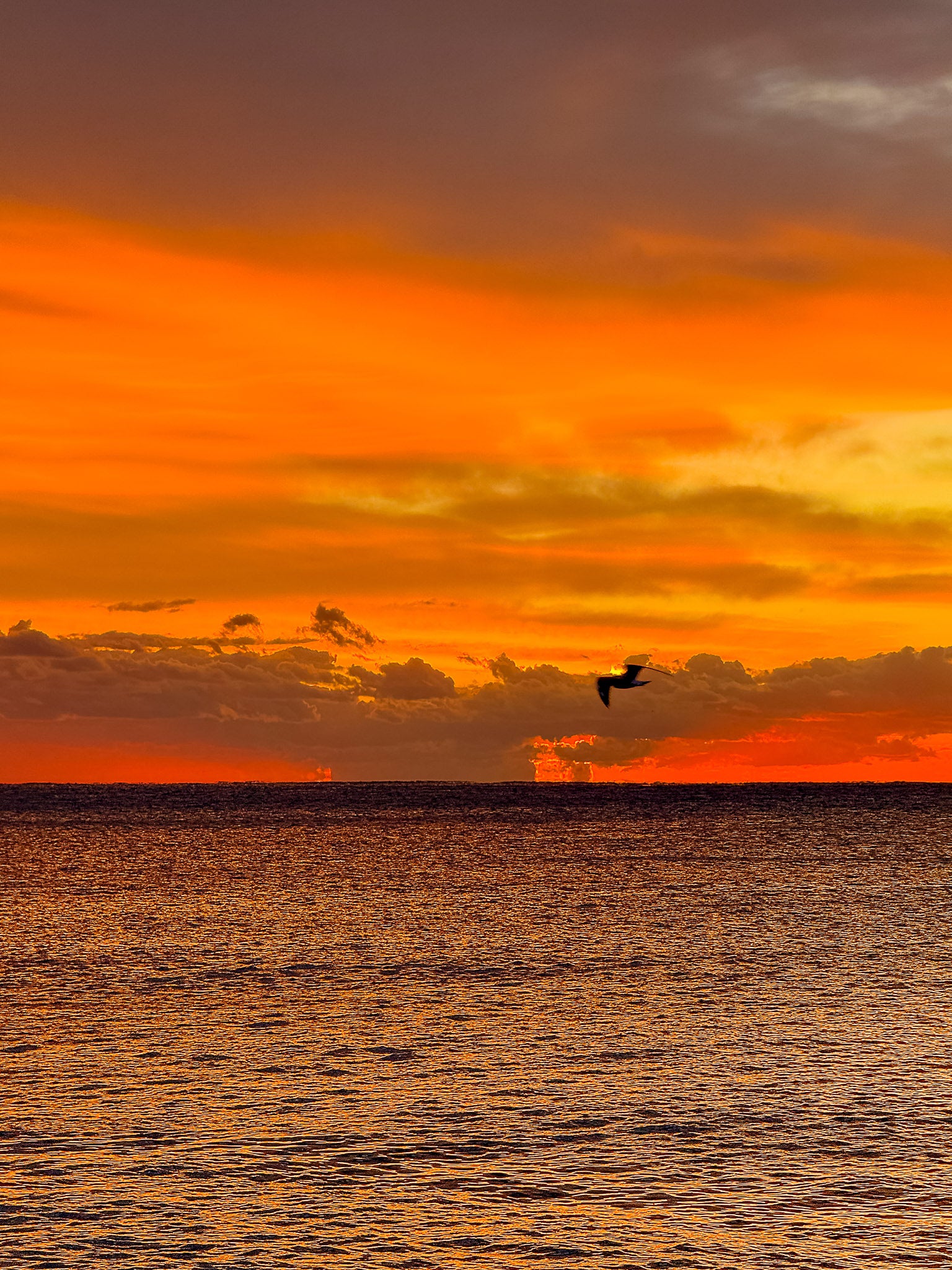 Sunset : Nice, 2025 🌅