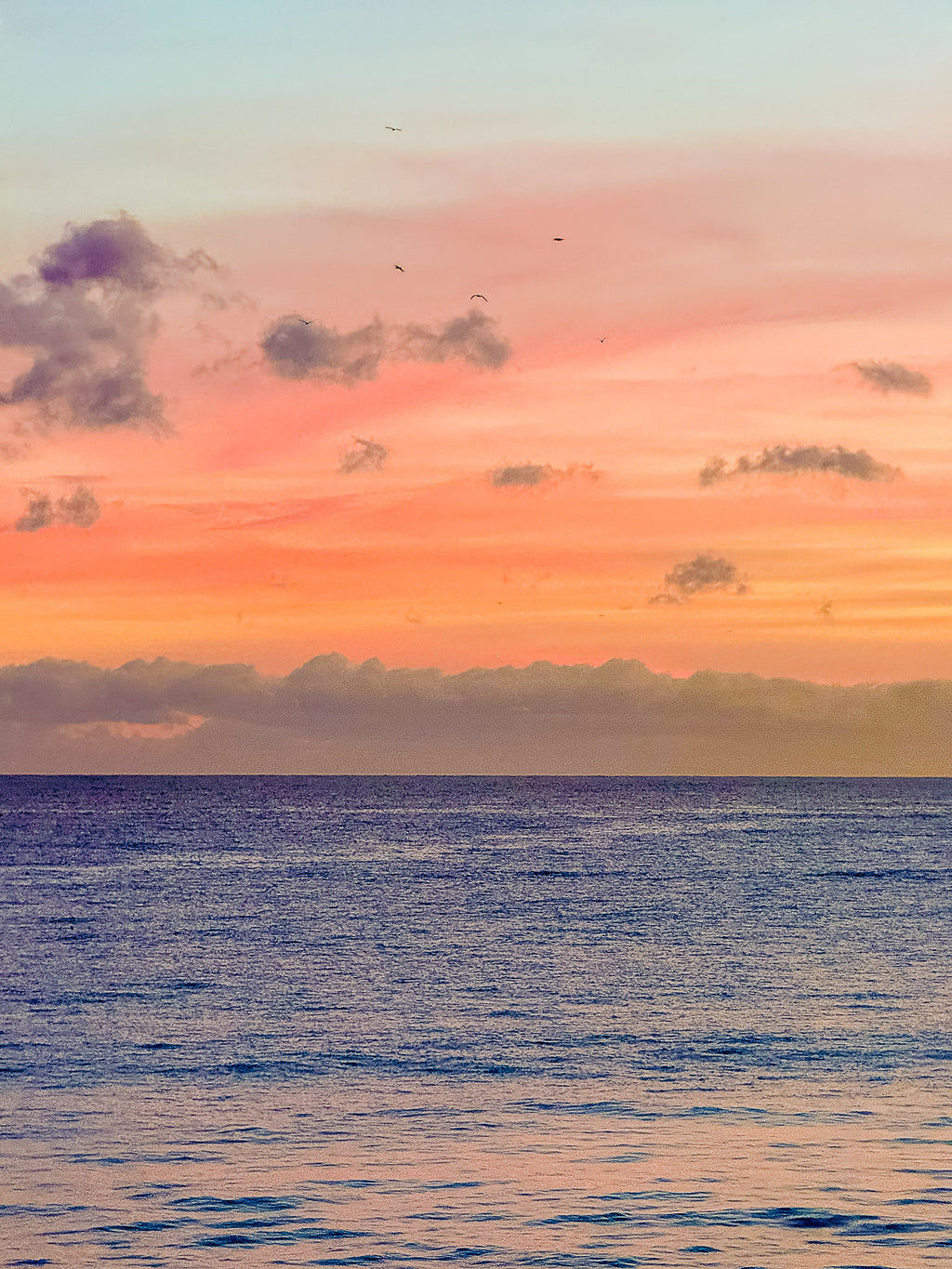 Sunset 2 : Nice, 2026 🌅