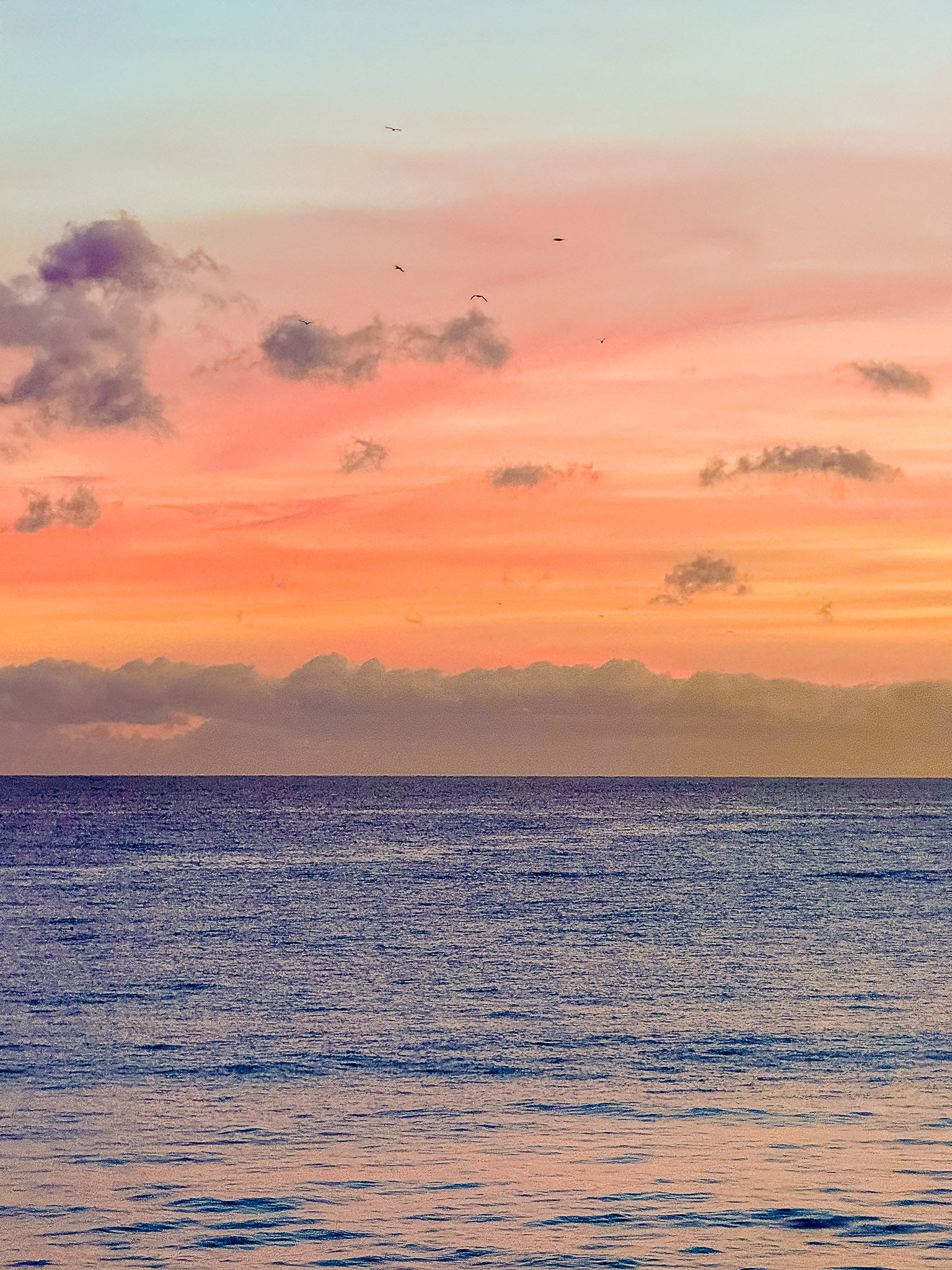 Sunset 2 : Nice, 2026 🌅