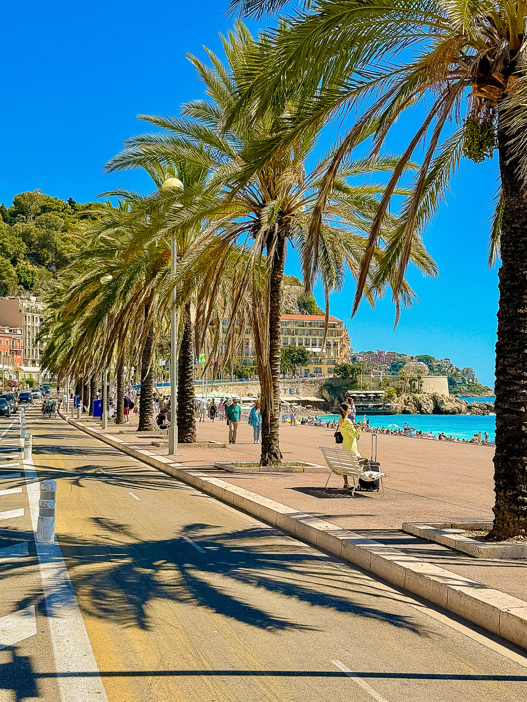 Les palmiers du quai des États-Unis : Nice, 2025 🏝