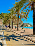 Les palmiers du quai des États-Unis : Nice, 2025 🏝