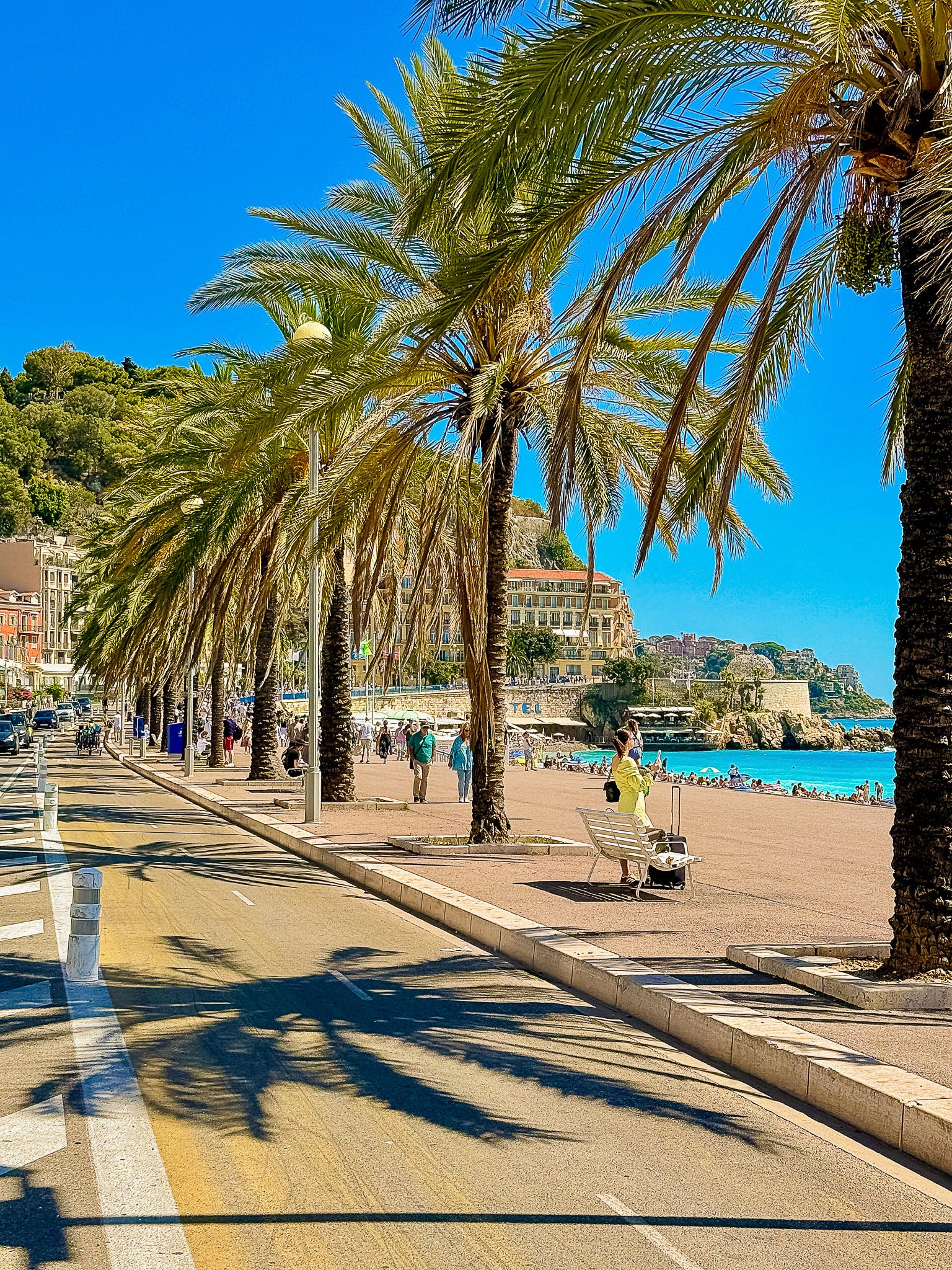 Les palmiers du quai des États-Unis : Nice, 2025 🏝