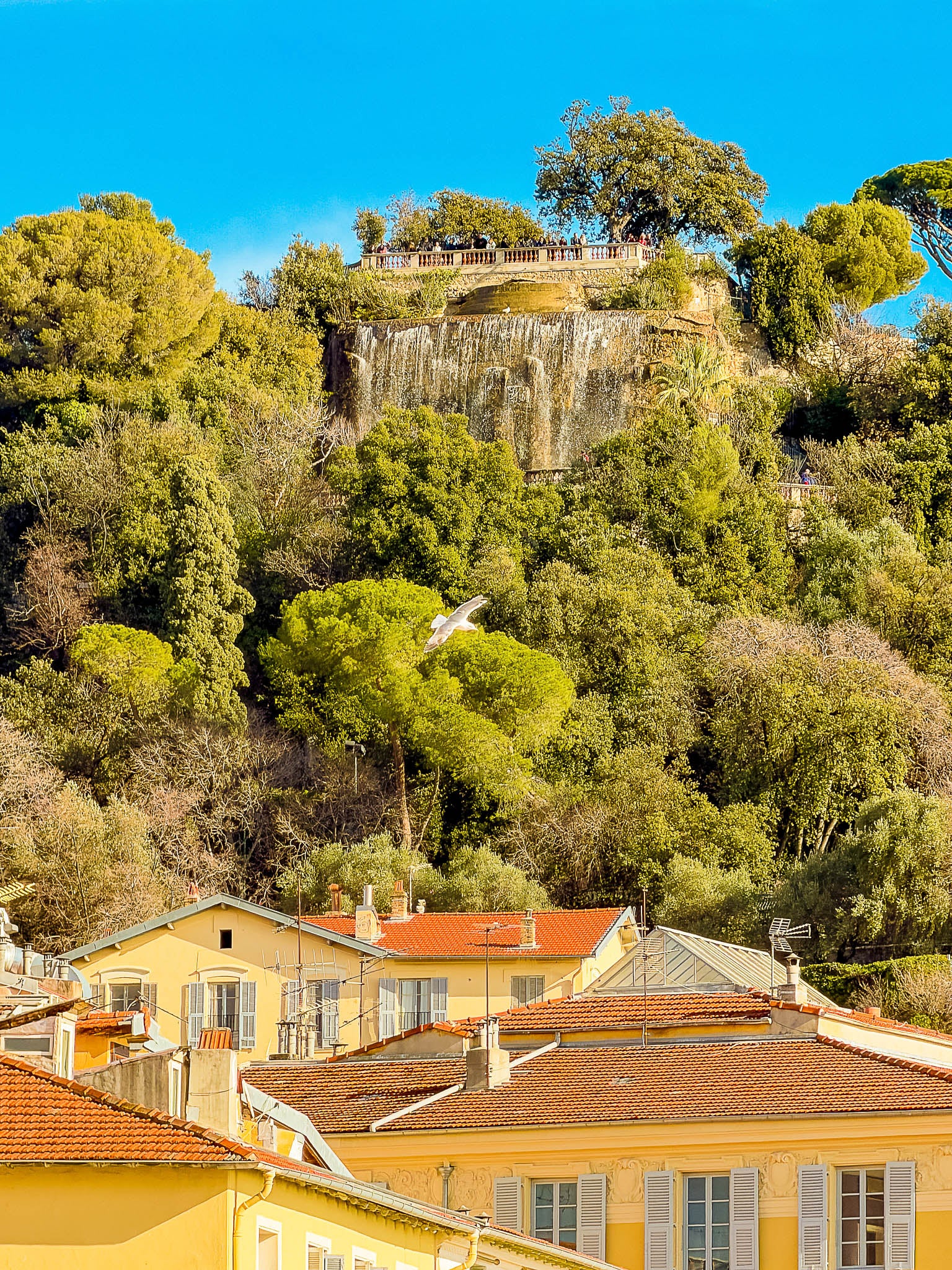 La fontaine du château depuis le Cours Saleya  : Nice, 2026 🌴