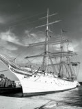 Le Staatsraad Lehmkuhl, trois-mâts barque norvégien : Port de Nice, 2025 ⛵️