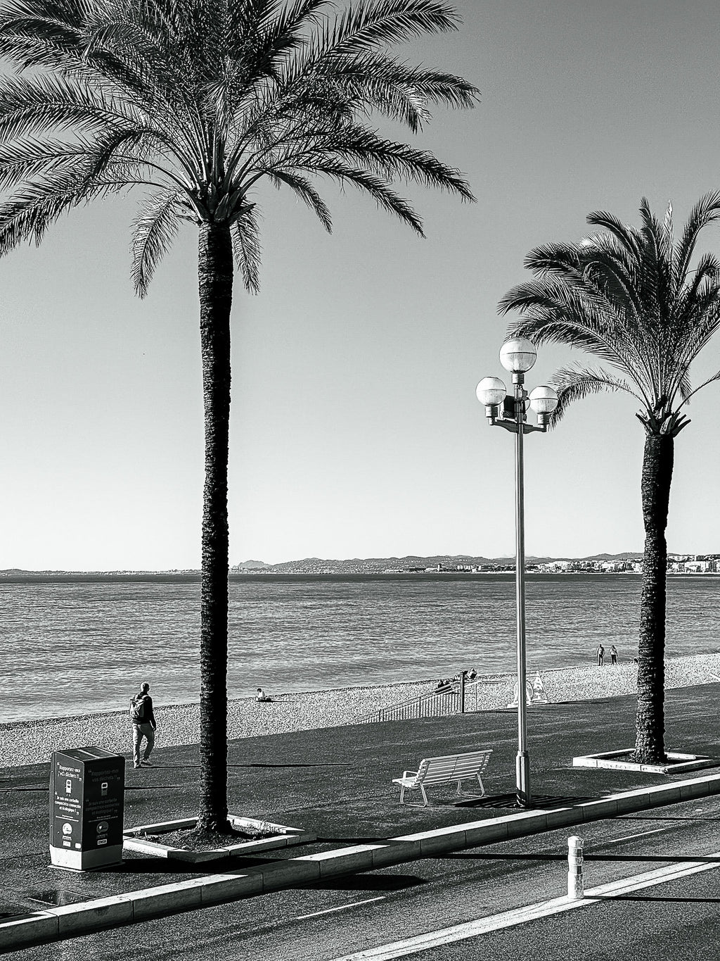 Les 3 palmiers en noir et blanc : Nice, 2025 🌴