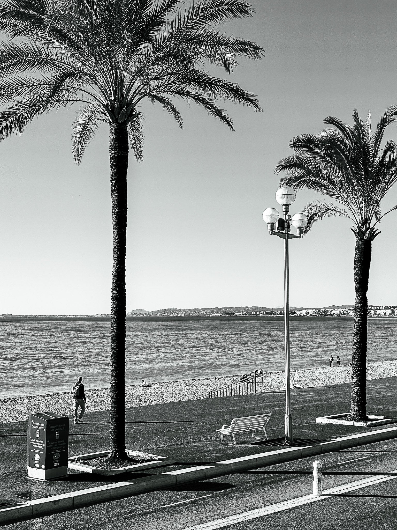 Les palmiers du quai des États-Unis en noir et blanc : Nice, 2025 🏝
