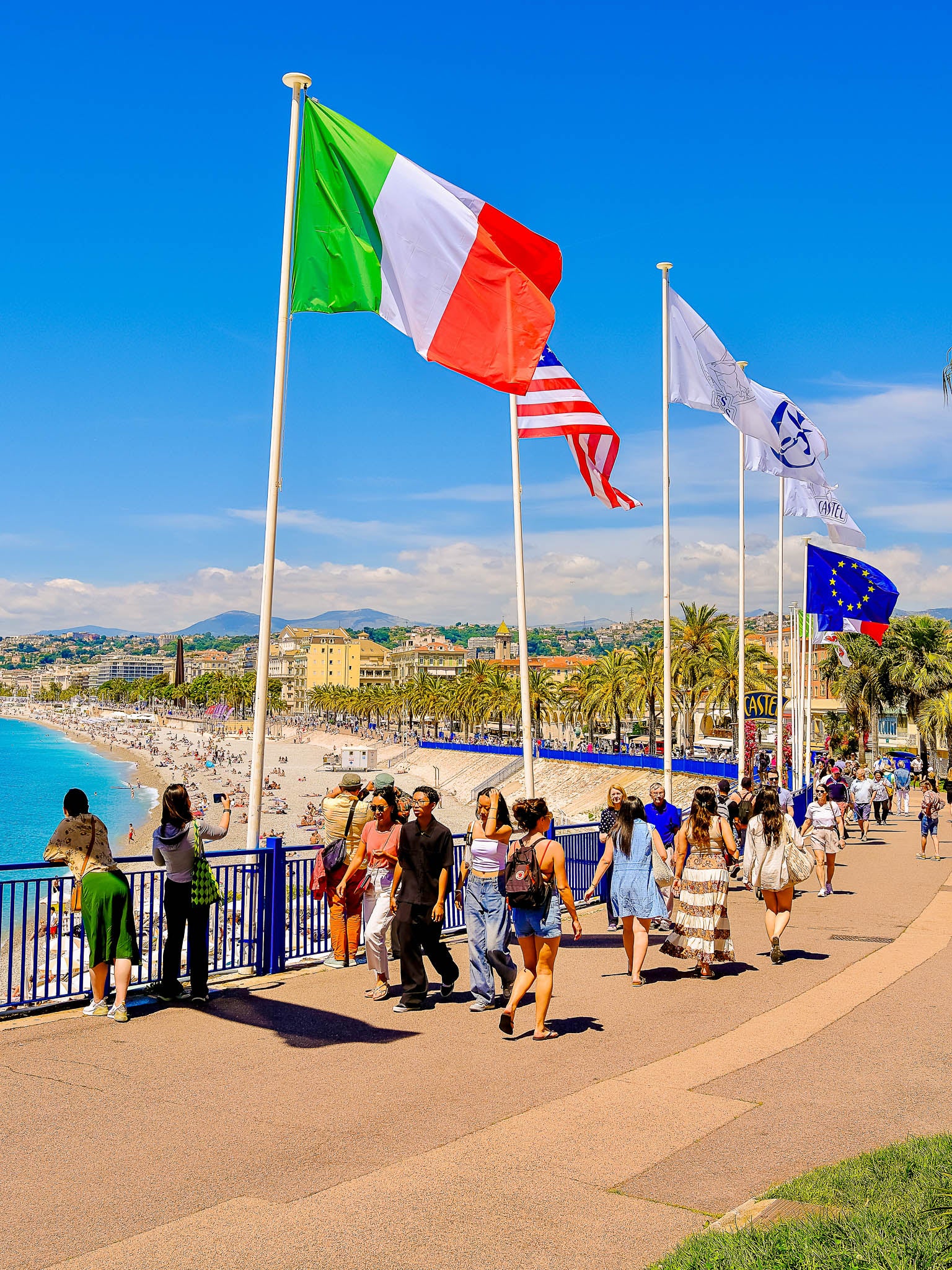 Le printemps ensoleillé  Nice, 2025 🍊