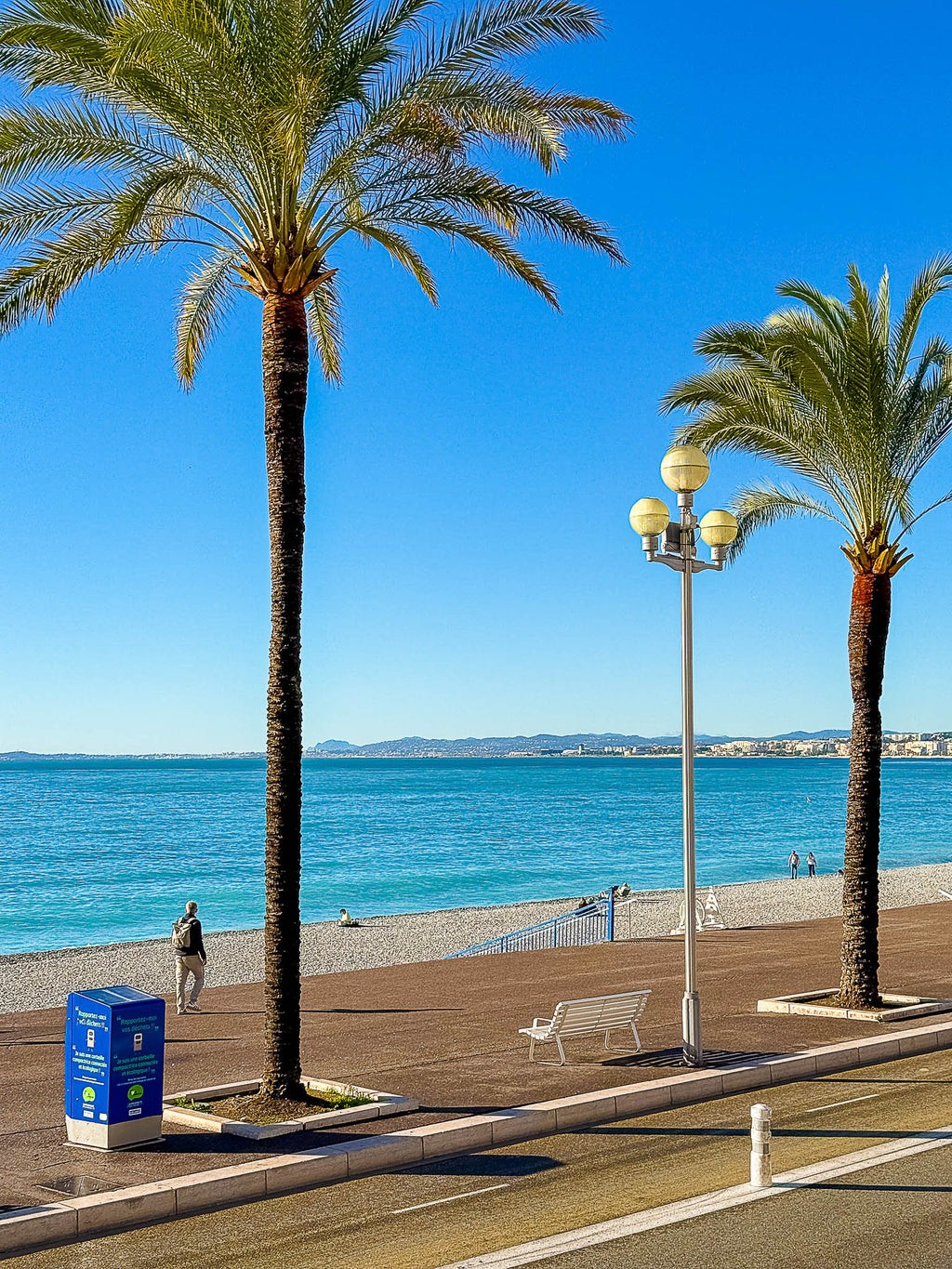 Les palmiers et la Méditerranée 2 : Nice, 2025 🌴
