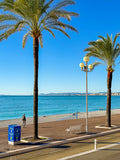 Les palmiers et la Méditerranée 2 : Nice, 2025 🌴