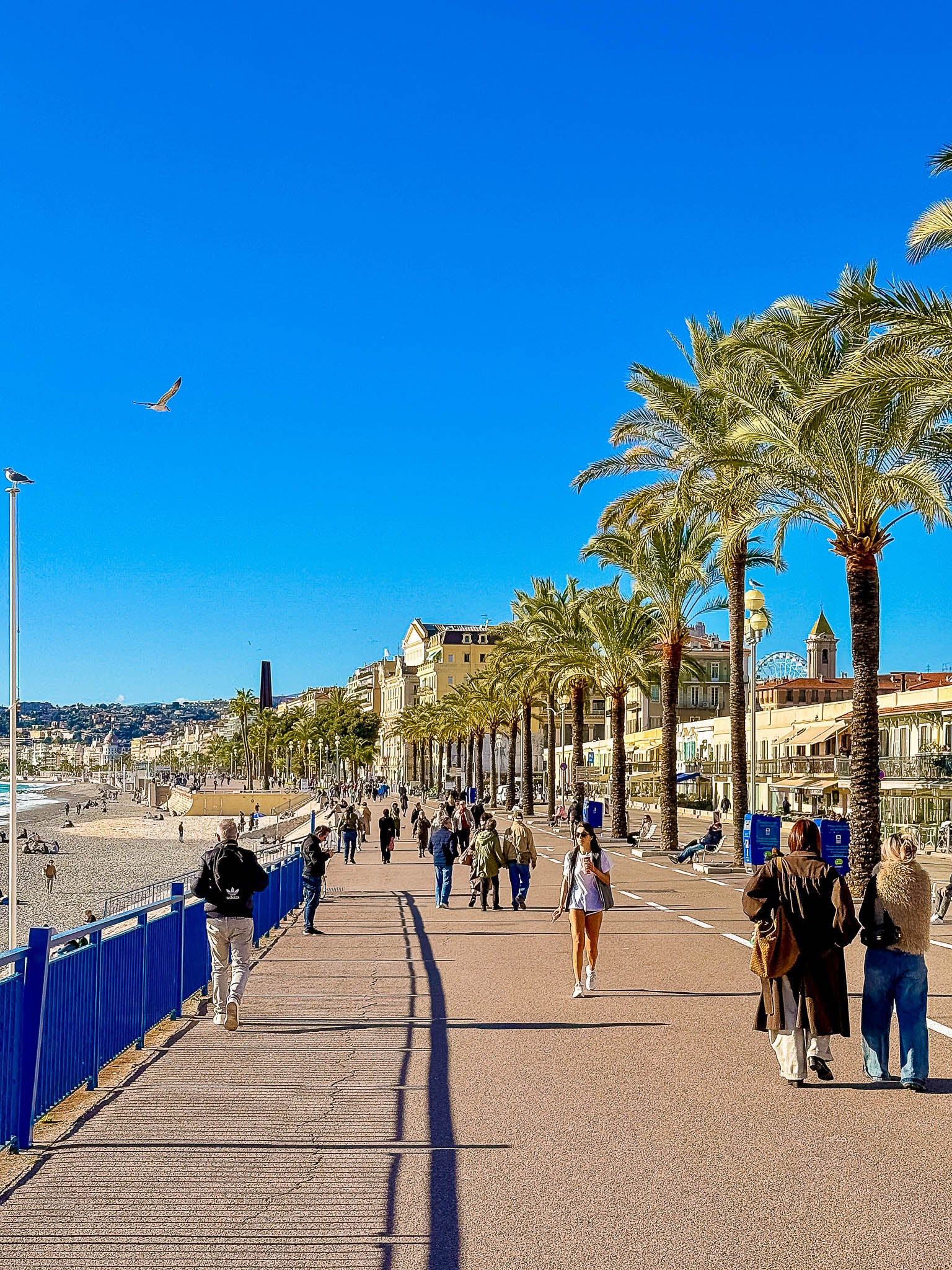 La balade des gens heureux : Nice, 2025 🐚