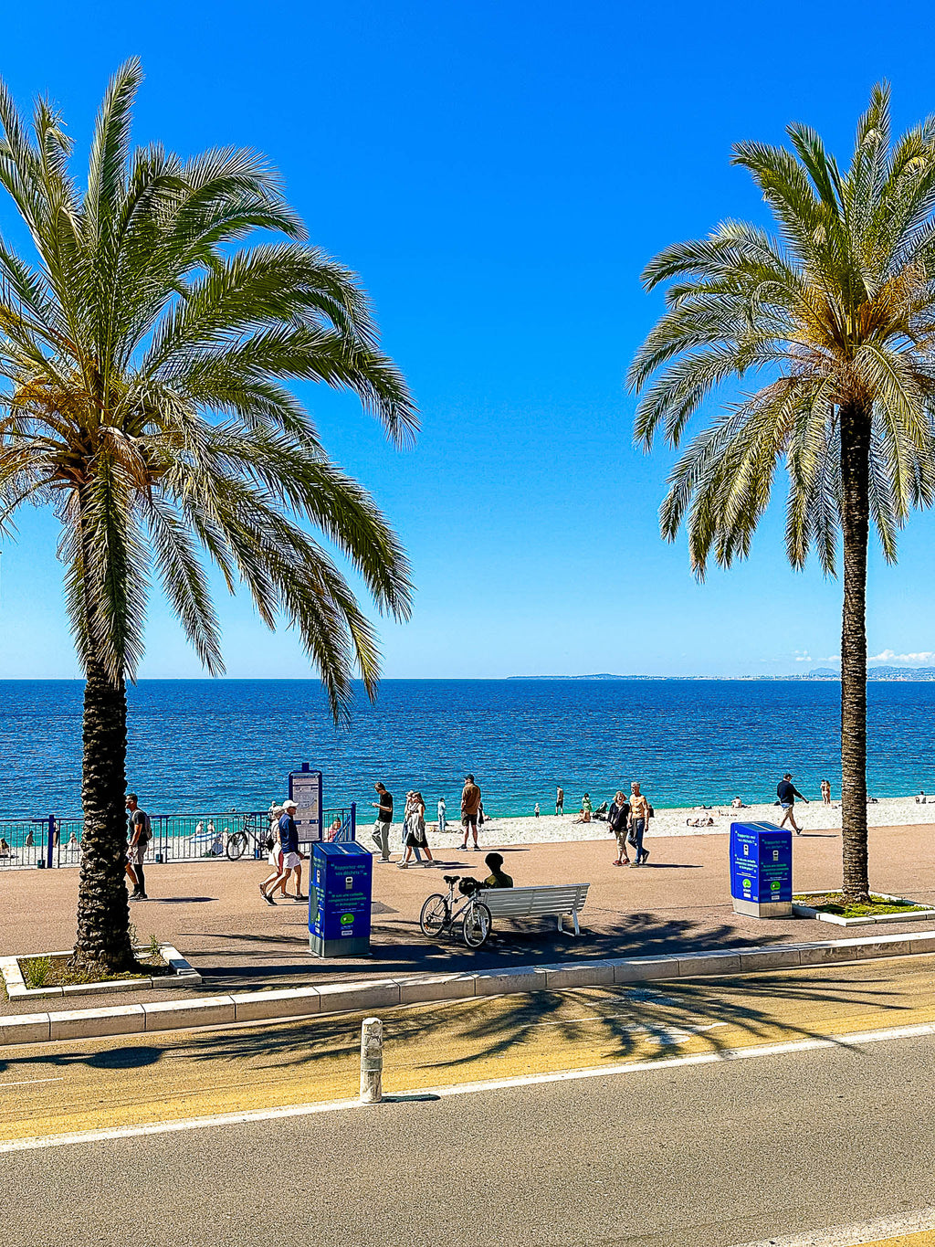 Les palmiers et la Méditerranée 3 : Nice, 2024 🌴