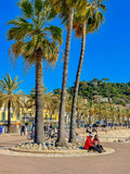 Les 3 palmiers : Nice, 2025 🌴