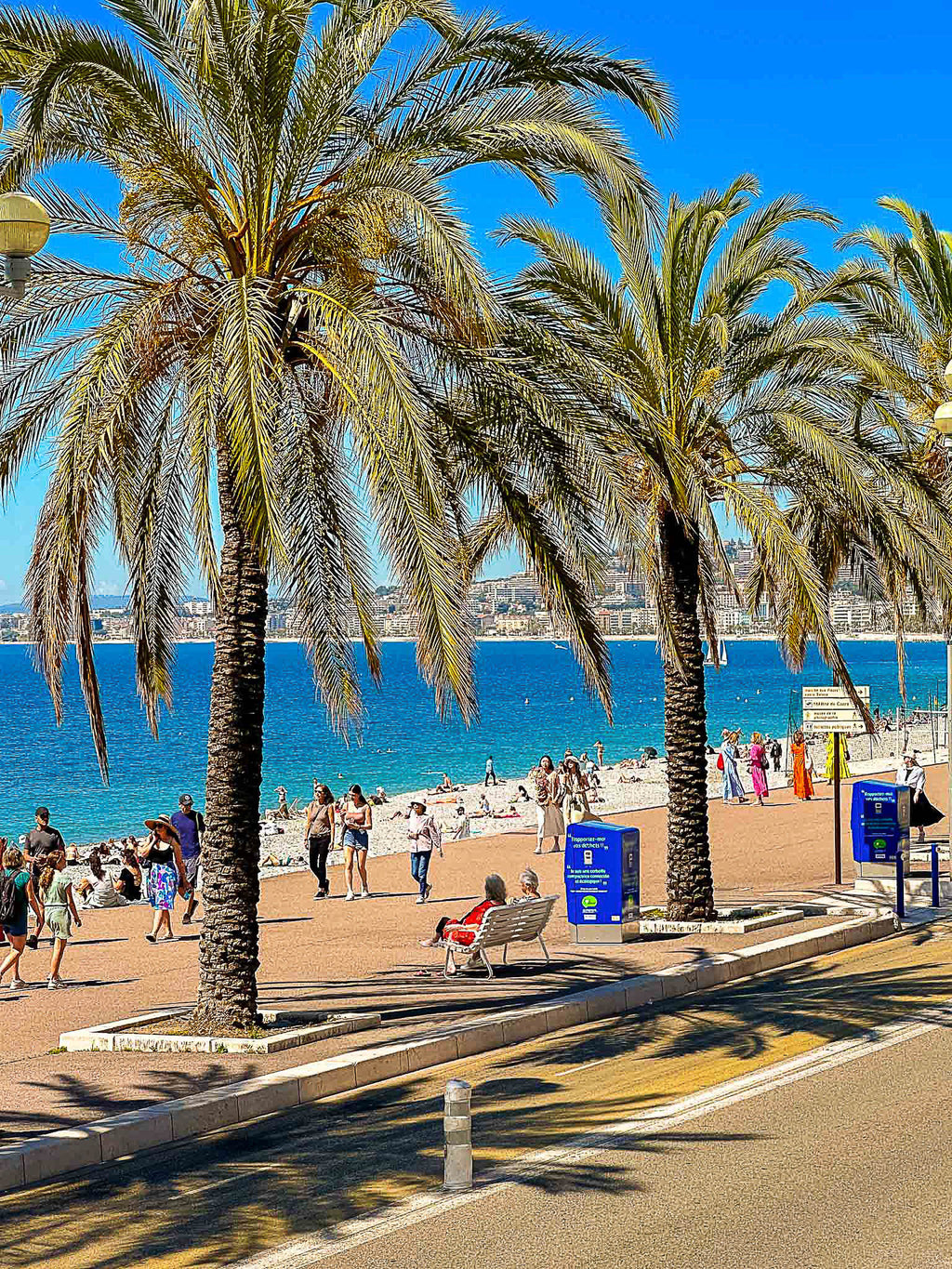 Les palmiers et la Méditerranée 4 : Nice, 2024 🌴