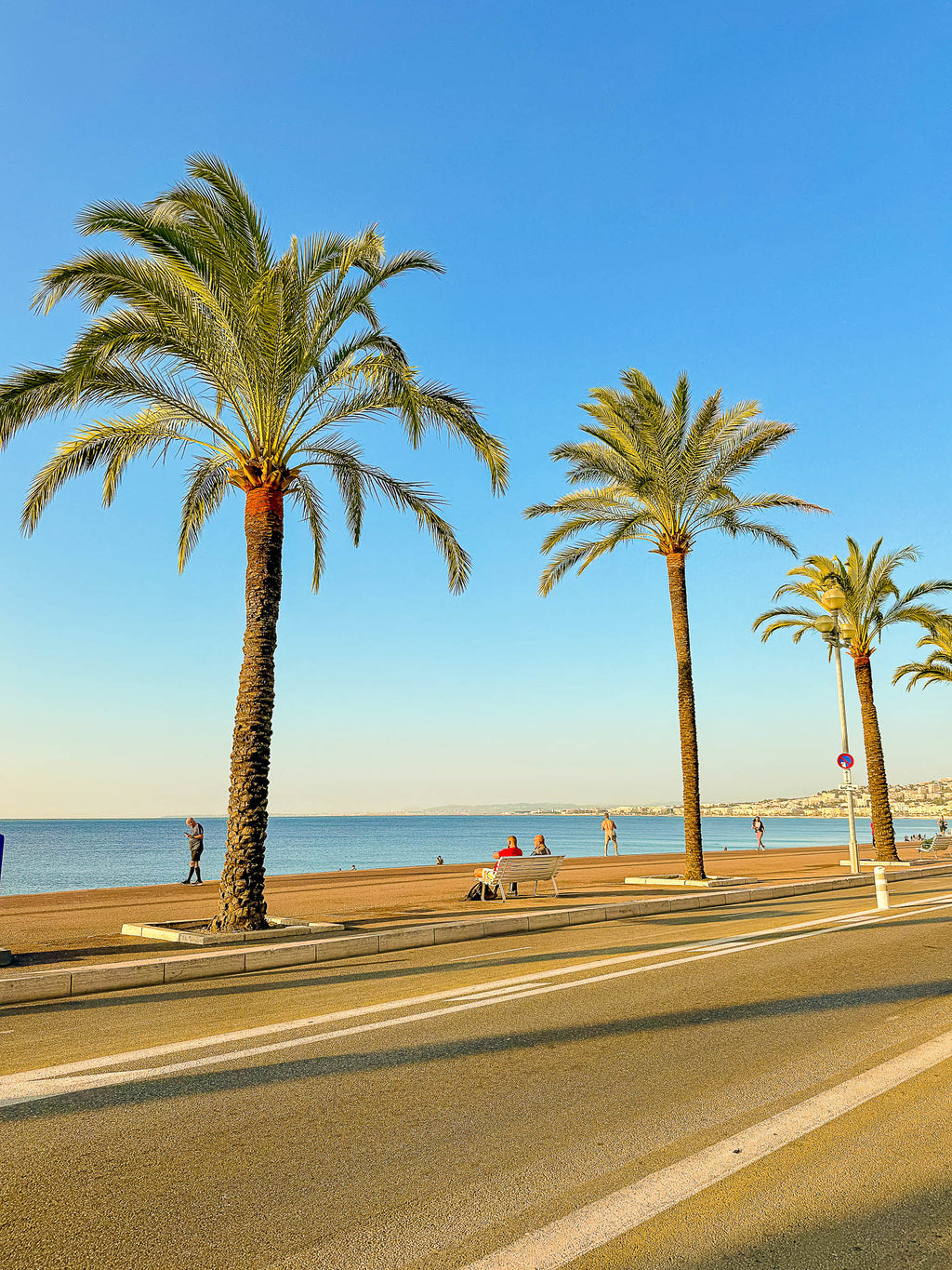 Les palmiers du quai des États-Unis 3 : Nice, 2025 🏝