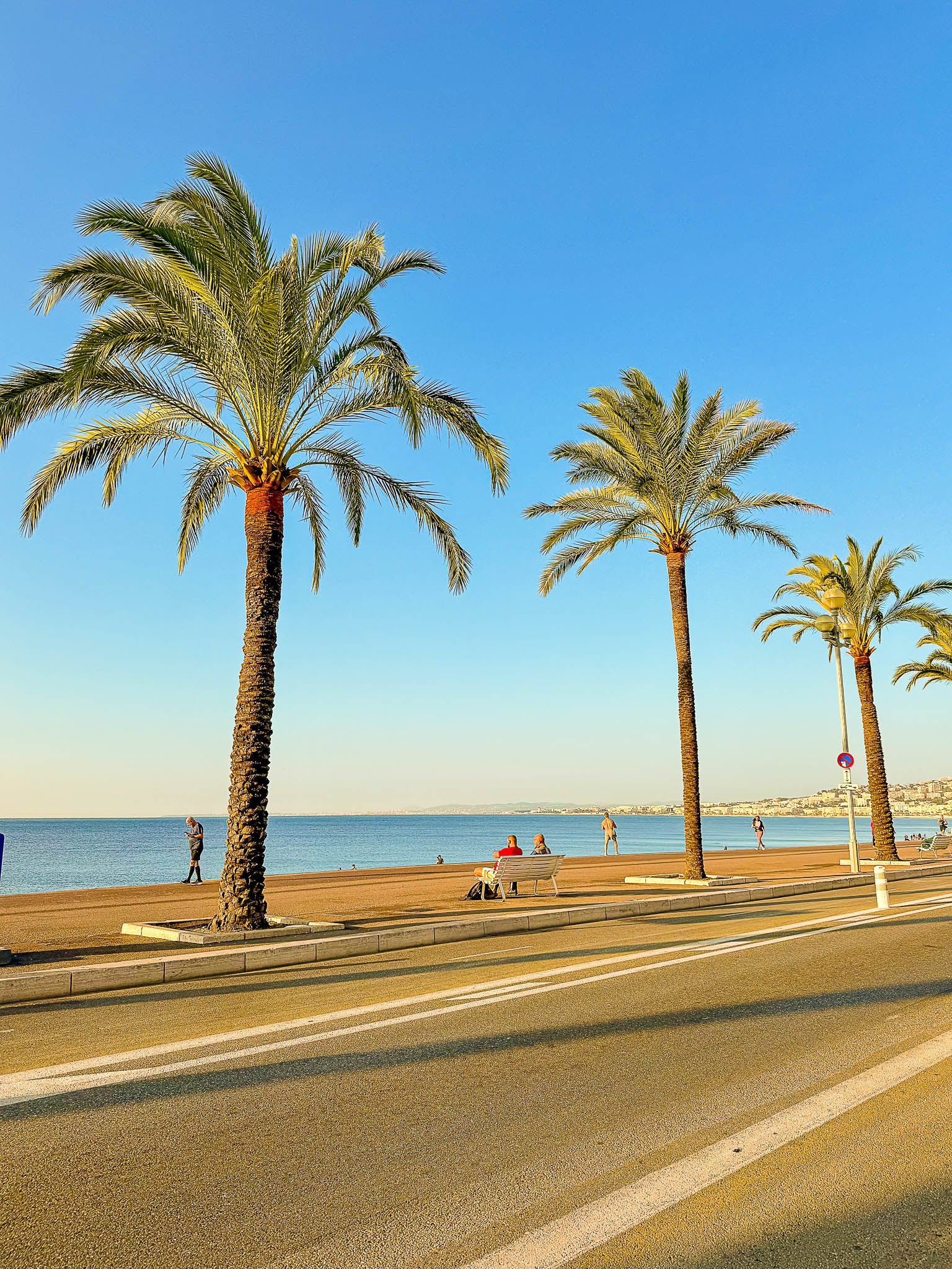 Les palmiers du quai des États-Unis 3 : Nice, 2025 🏝