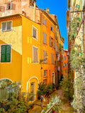 La rue du Malonat 2 : Nice, 2024 🌵