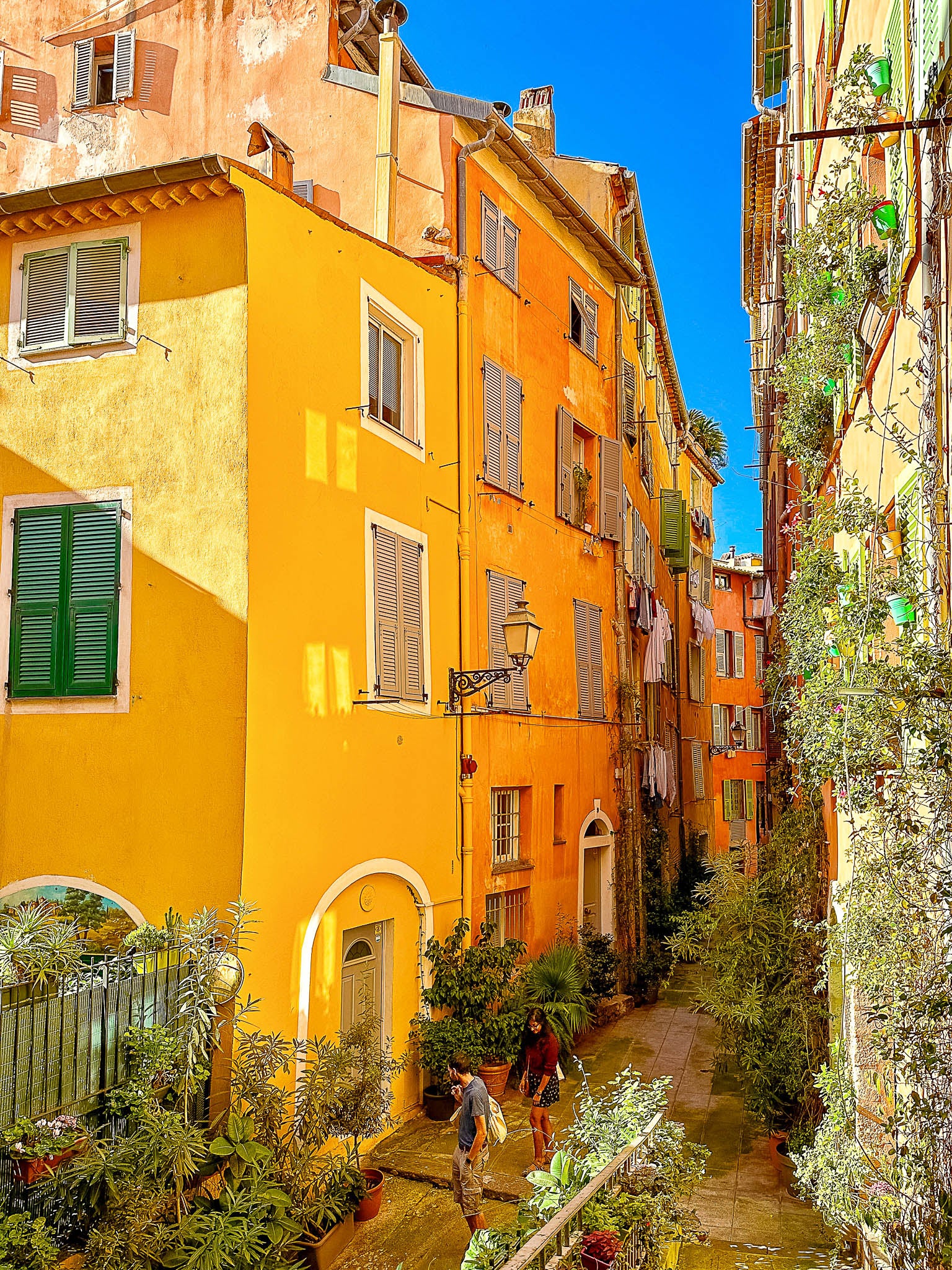 La rue du Malonat 2 : Nice, 2024 🌵