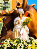 Carnaval de Nice, Roi des Animaux 7 : Nice, 2022 🐯