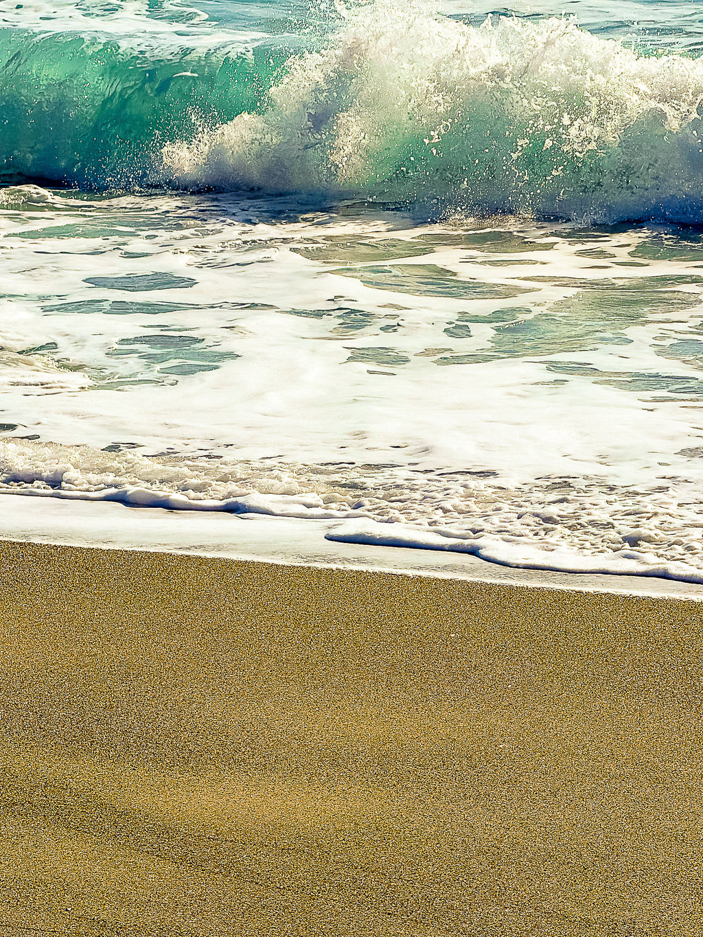 Méditerranée, Promenade des Anglais : Nice, 2026 🌊