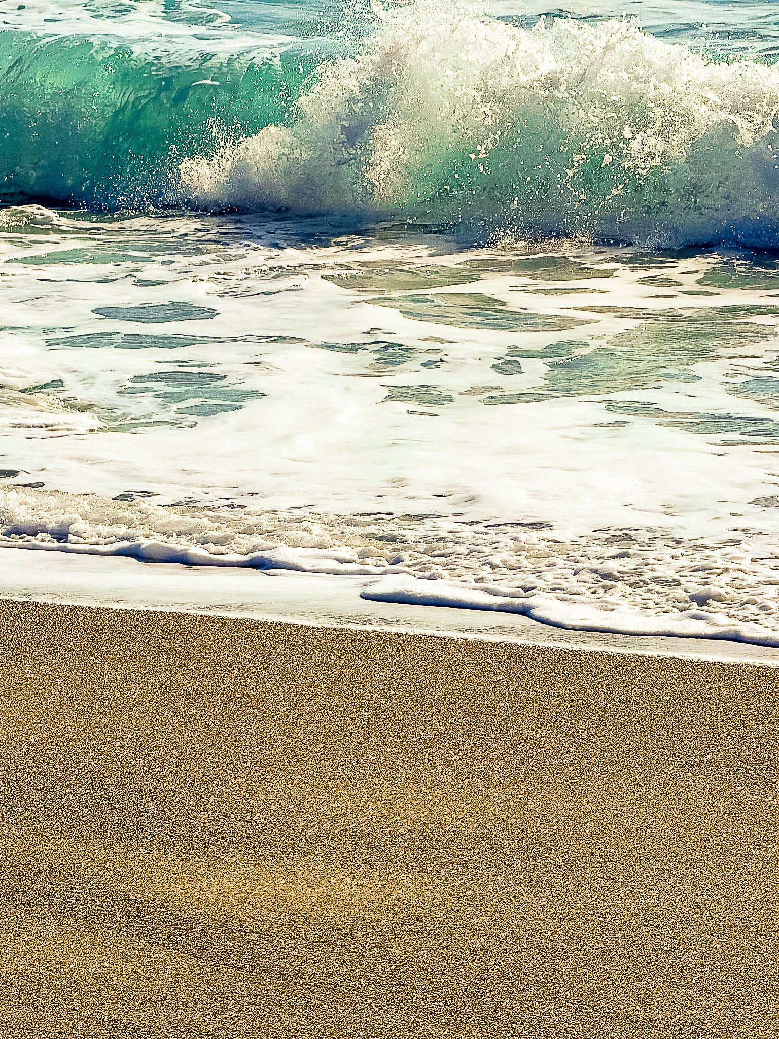 Méditerranée, Promenade des Anglais : Nice, 2026 🌊