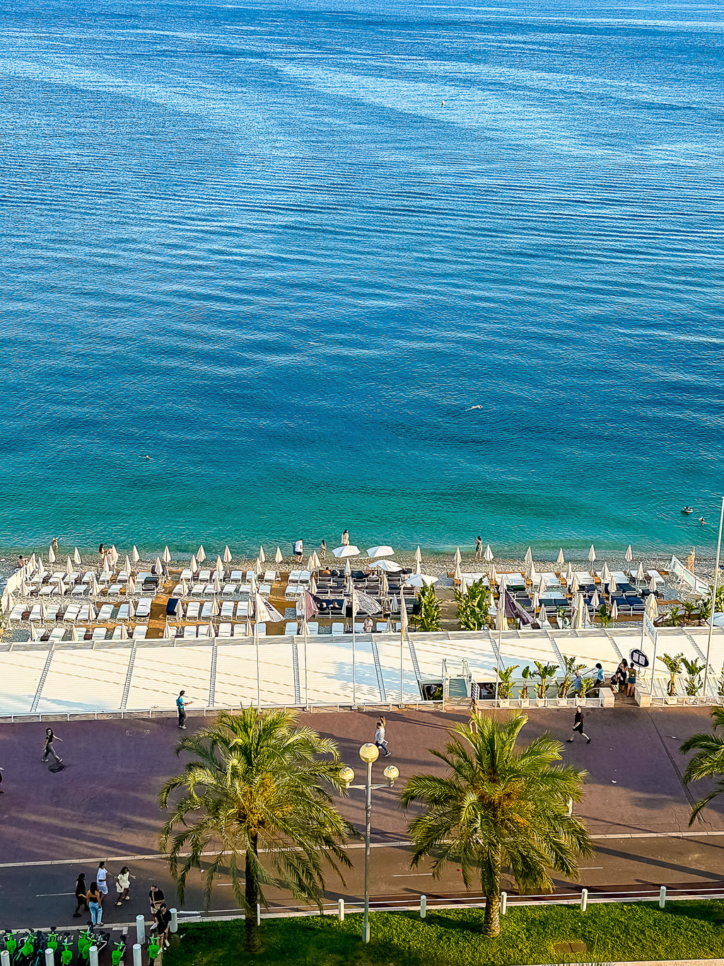 Vue Promenade des Anglais : Nice, 2025 🌼
