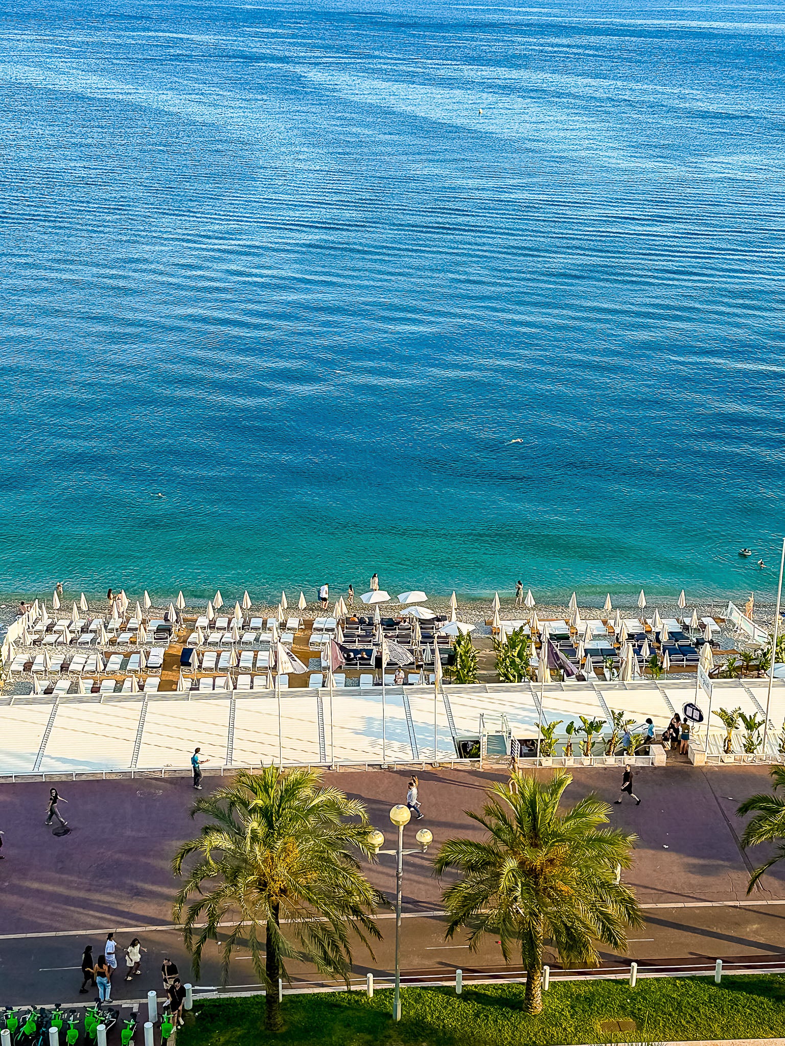 Vue Promenade des Anglais : Nice, 2025 🌼