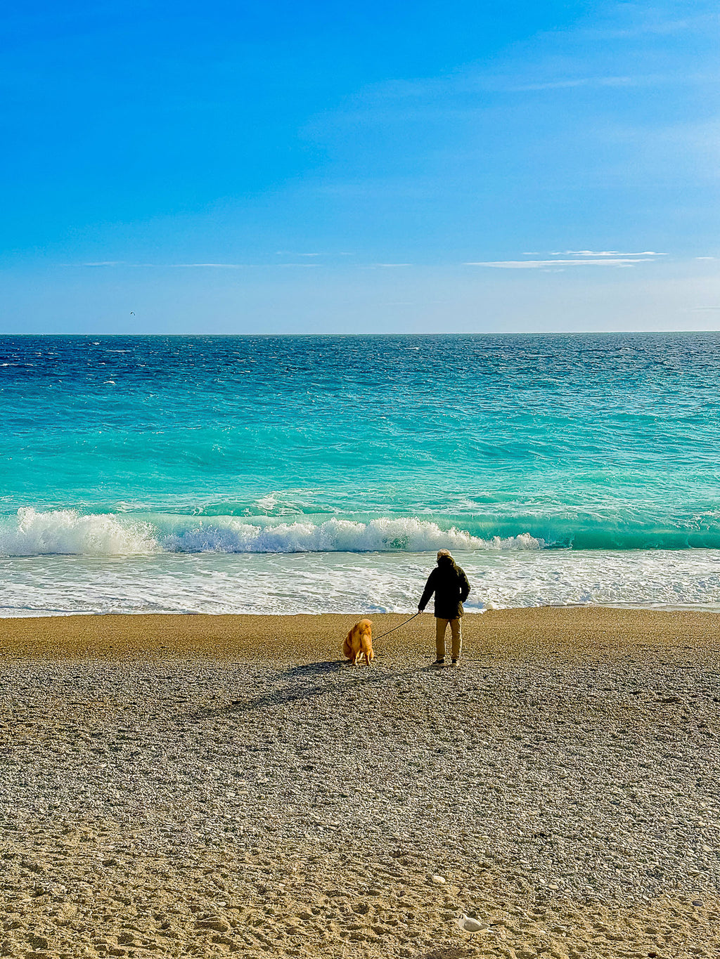 Face à la mer, Promenade des Anglais : Nice, 2026 🐚