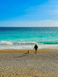 Face à la mer, Promenade des Anglais : Nice, 2026 🐚