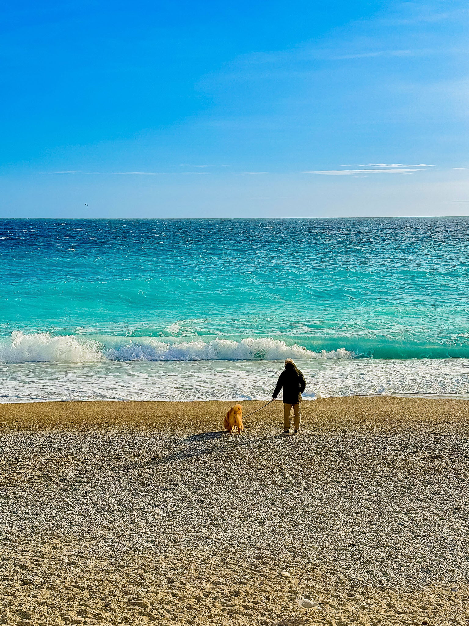 Face à la mer, Promenade des Anglais : Nice, 2026 🐚