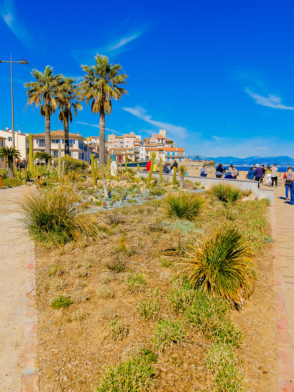 Les palmiers et les remparts : Antibes, 2025 🌴