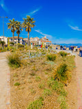 Les palmiers et les remparts : Antibes, 2025 🌴