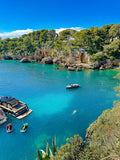 Baie des milliardaires : Cap Antibes, 2024 🦋