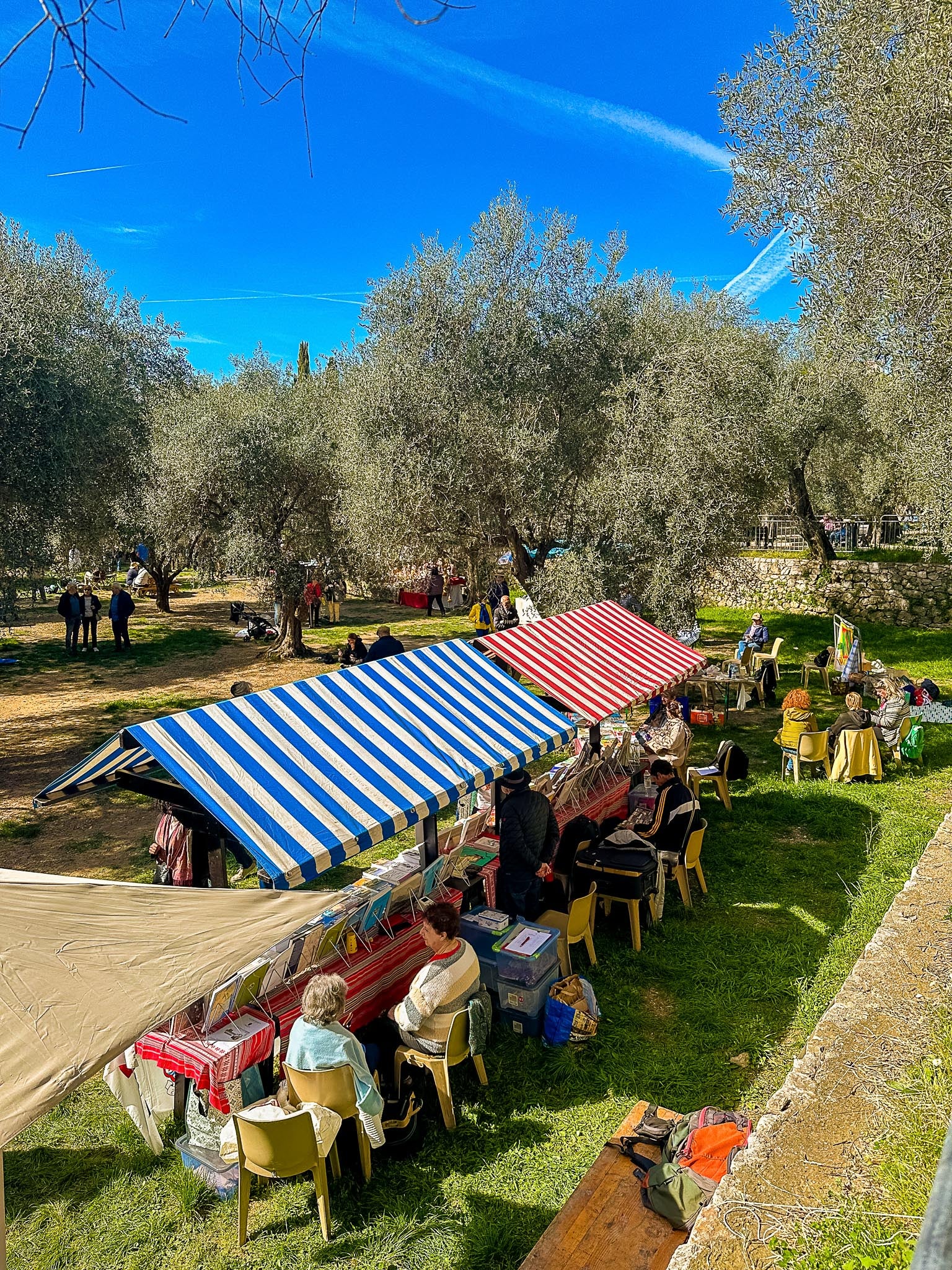 Fête des Cougourdons, Cimiez : Nice, 2024 ☀️