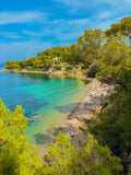 Paloma Beach : Saint-Jean-Cap-Ferrat, 2025 🏝